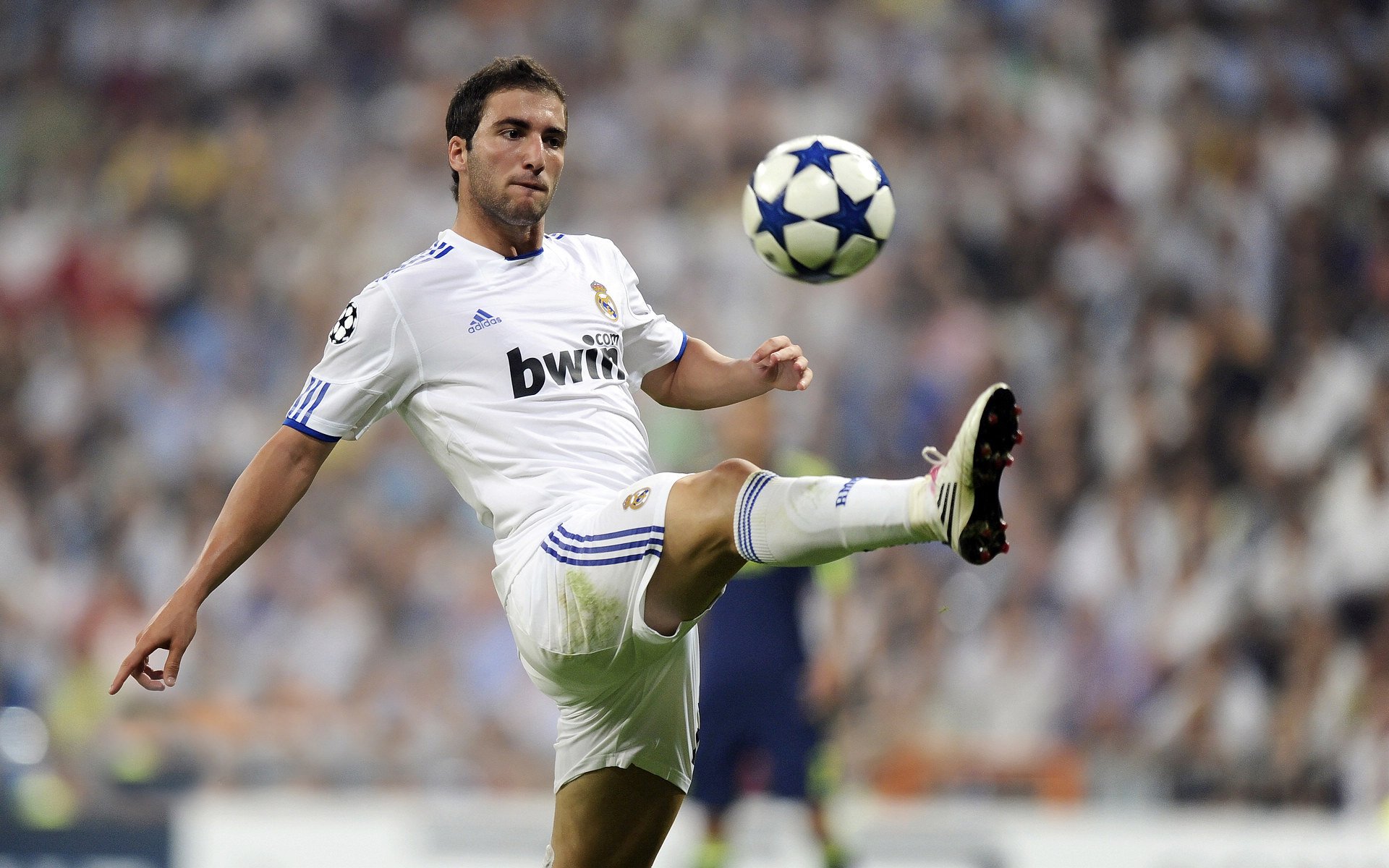 开云体育-速度与激情，从F1新赛季揭幕到雄鹿终结勇士，看竞技体育的破局哲学